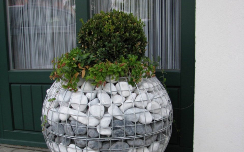 «Больше некуда деньги деть?»: сыктывкарцы о шарах с камнями в Мичуринском парке