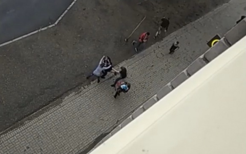 Сыктывкарка всучила ребенка прохожему и кинулась в массовую драку на улице (видео)