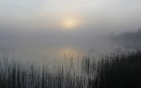 Фото дня от сыктывкарки: густой туман на озере