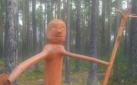 Деревянное похищение: из сыктывкарского леса исчез двухметровый Пиноккио