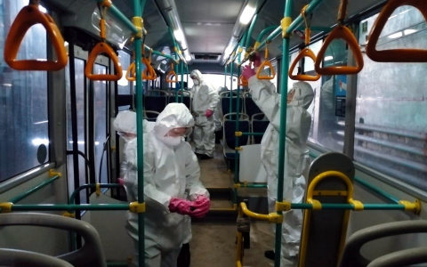 Сыктывкарские автобусы будут дезинфицировать дважды в день для защиты от коронавируса