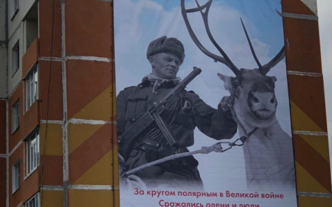 Разбор: что думают люди о финском солдате на баннере в Усинске