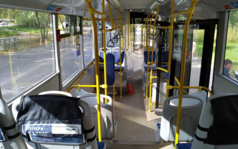 На Троицу в Сыктывкаре пустят больше автобусов