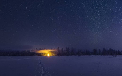 Фото дня в Сыктывкаре: ночь на болоте