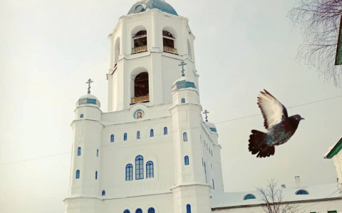 Фото дня от сыктывкарки: Троице-Стефано-Ульяновский монастырь и голуби