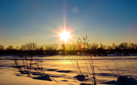 Фото дня в Сыктывкаре: морозное зимнее солнышко