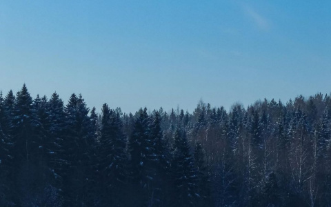 Фото дня: чистое морозное небо над Сыктывкаром