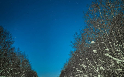 Фото дня в Сыктывкаре: необычный взгляд или белые ночи зимой